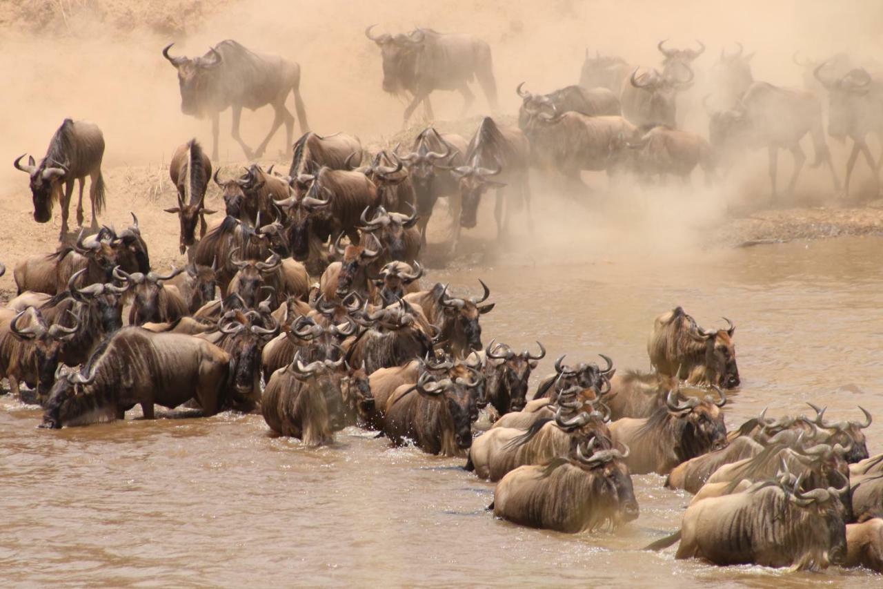 Gnu Mara River Camp Serengeti Dış mekan fotoğraf