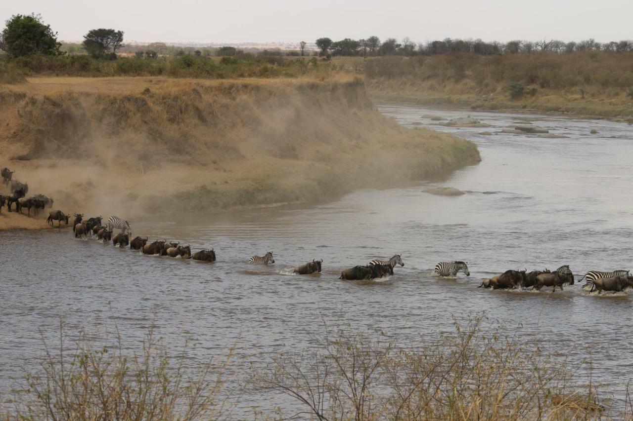 Gnu Mara River Camp Villa Serengeti Dış mekan fotoğraf